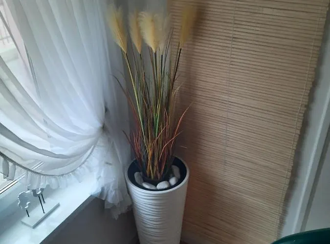 Goscinne Gala Мендзыздрое